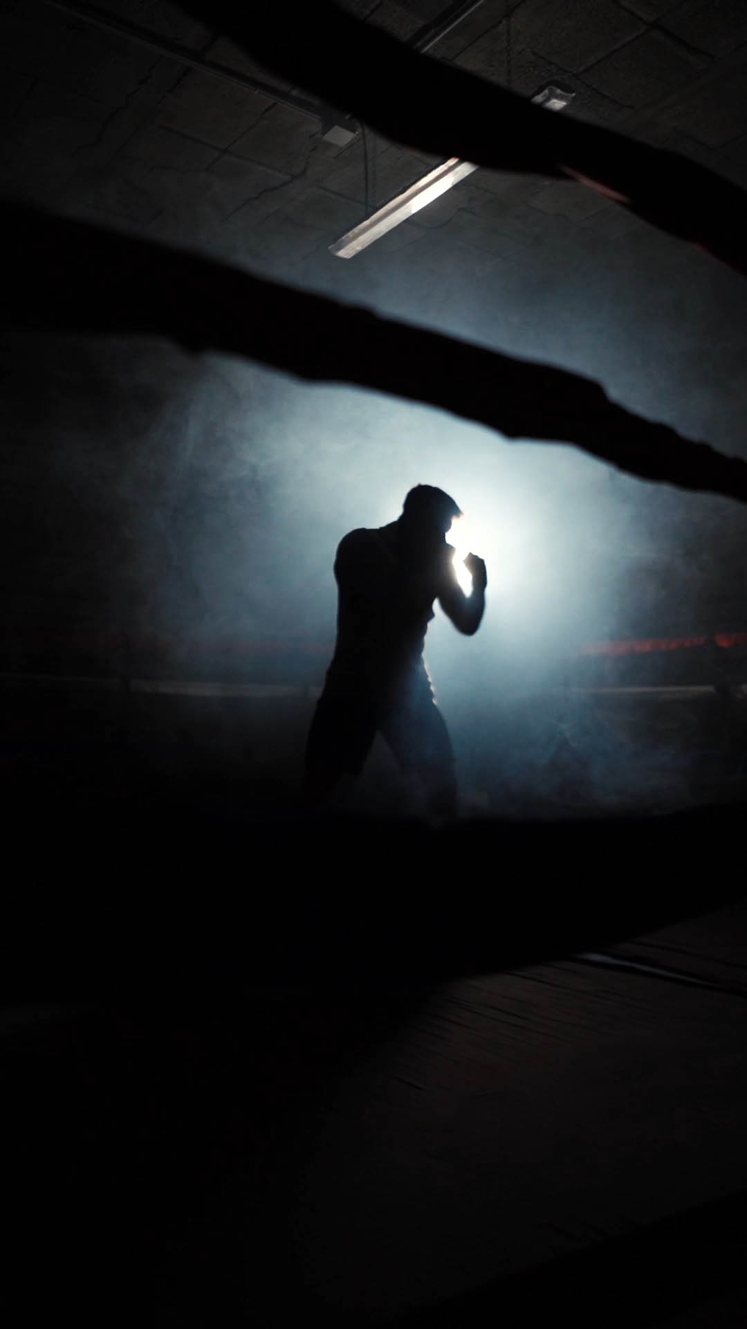 Pro sport Boxing series X