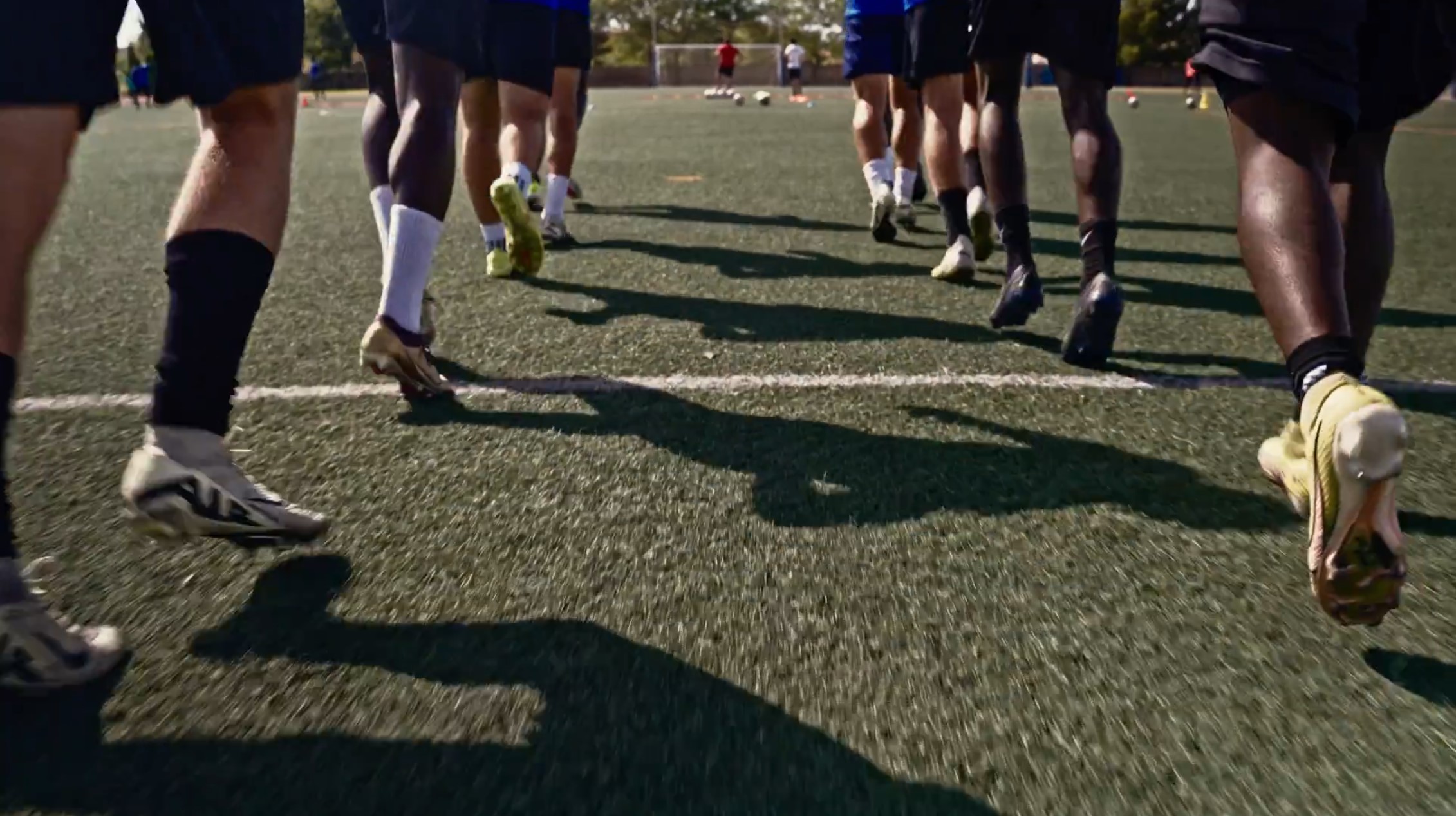 Alicante Football Academy